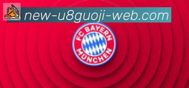 U8国际体育合作伙伴