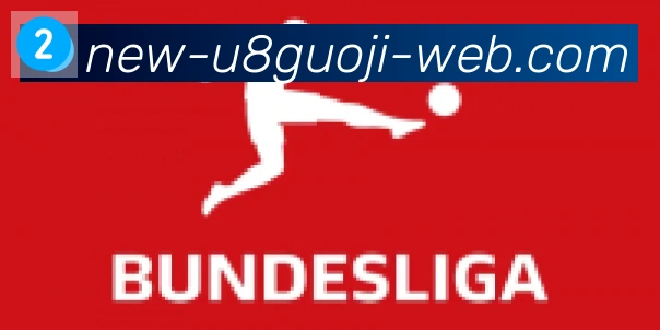 U8国际体育合作伙伴